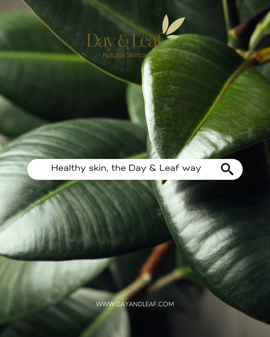 The Best Skincare Routine for Sensitive Skin: Calm, Hydrate, and Glow